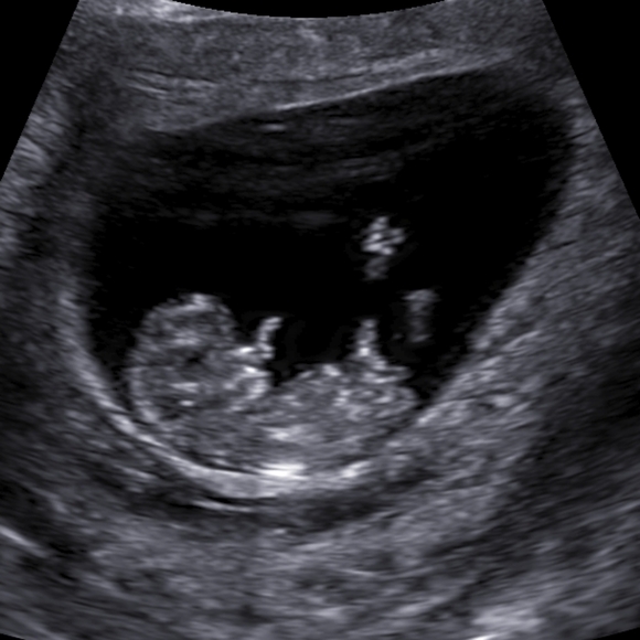 ✨️🎊Life Updates🎊✨️ - Picture 2 of 8